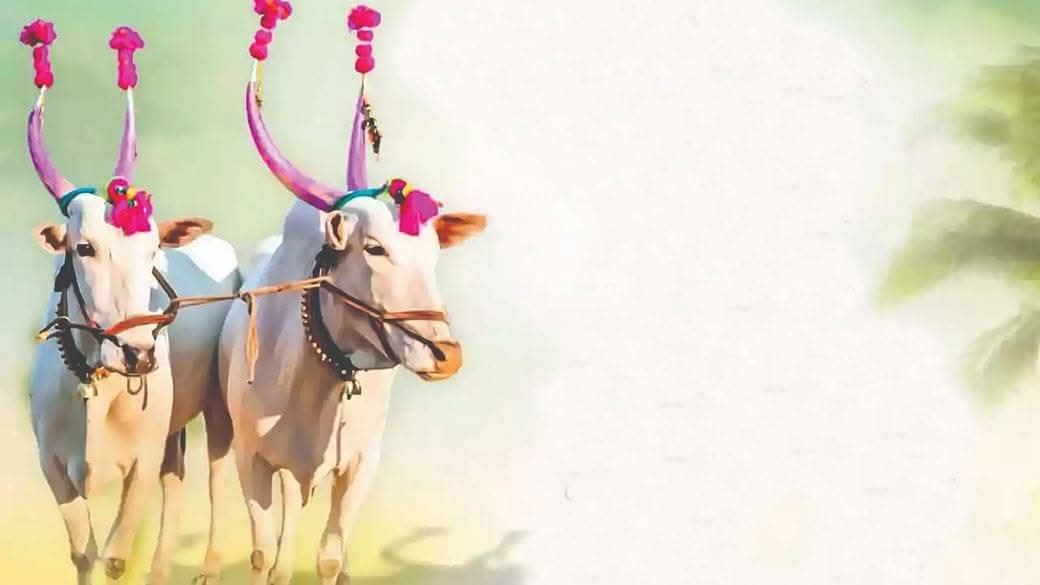 आला आला पोळा