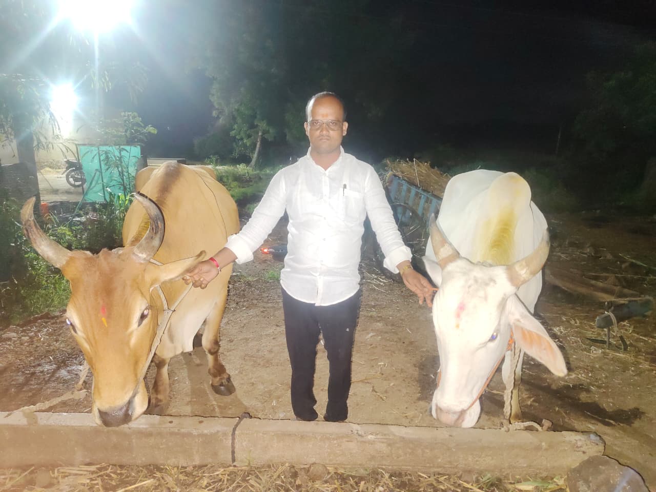 खांदेमळणी
आला आला पोळा